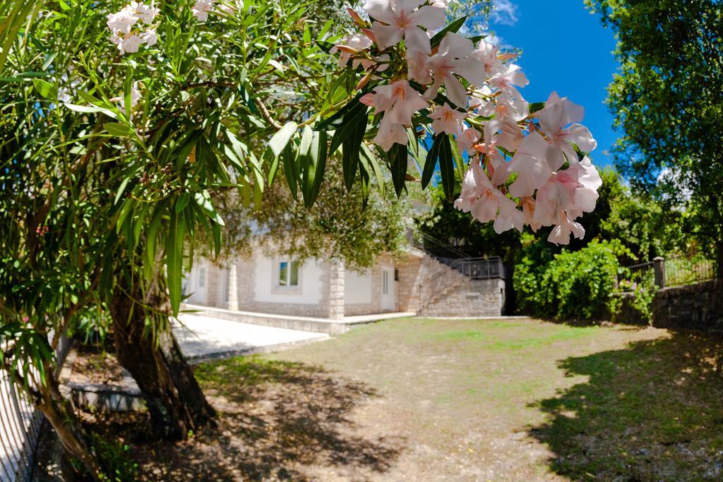 Olive Tree Villa Херцег Нови Екстериор снимка