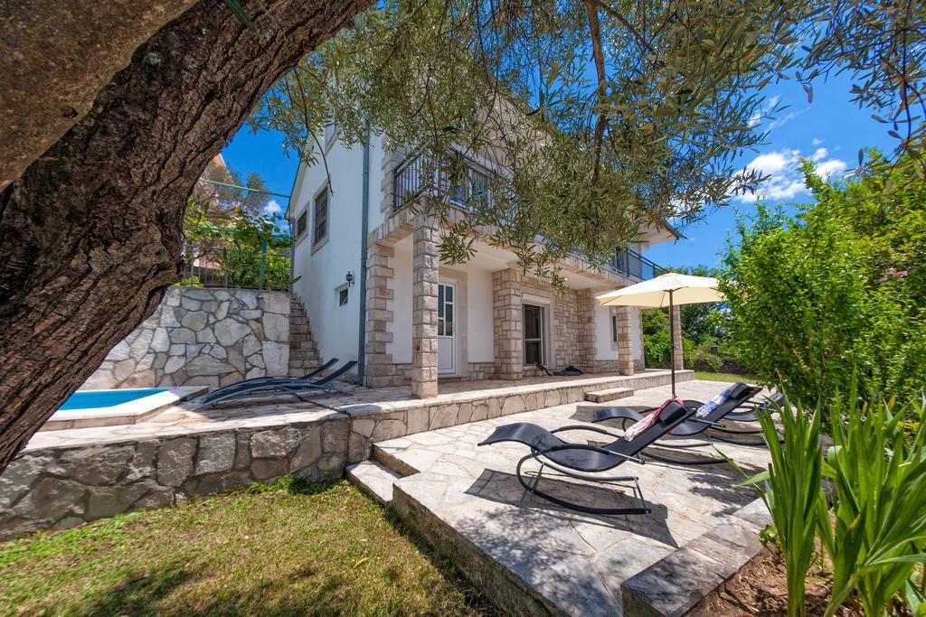 Olive Tree Villa Херцег Нови Екстериор снимка